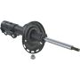 Autopart International Strut Assembly 2701423427