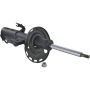 Autopart International Strut Assembly 2701423428
