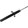 Autopart International Strut Assembly 2701423454