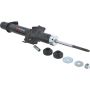 Autopart International Strut Assembly 2701423461