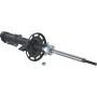 Autopart International Strut Assembly 2701423487