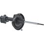 Autopart International Strut Assembly 2701423490