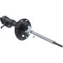 Autopart International Strut Assembly 2701423493