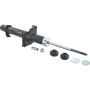 Autopart International Strut Assembly 2701423497