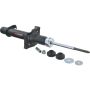 Autopart International Strut Assembly 2701423498