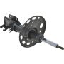 Autopart International Strut Assembly 2701423799