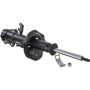 Autopart International Strut Assembly 2701423802