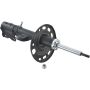 Autopart International Strut Assembly 2701423813