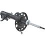 Autopart International Strut Assembly 2701423815