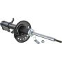 Autopart International Strut Assembly 2701423816