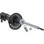 Autopart International Strut Assembly 2701423817