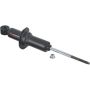 Autopart International Strut Assembly 2701423818