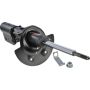 Autopart International Strut Assembly 2701423916