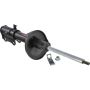 Autopart International Strut Assembly 2701424171