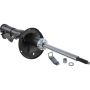 Autopart International Strut Assembly 2701424176