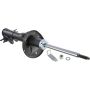 Autopart International Strut Assembly 2701424177
