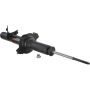 Autopart International Strut Assembly 2701424179