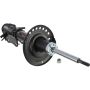 Autopart International Strut Assembly 2701424181