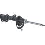 Autopart International Strut Assembly 2701424190