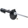 Autopart International Strut Assembly 2701424200