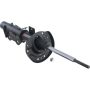 Autopart International Strut Assembly 2701424211