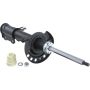 Autopart International Strut Assembly 2701424214