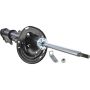 Autopart International Strut Assembly 2701424225