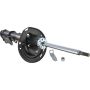 Autopart International Strut Assembly 2701424226