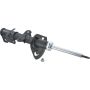 Autopart International Strut Assembly 2701424238