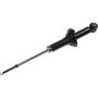 Autopart International Strut Assembly 2701424248