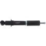 Autopart International Strut Assembly 2701424253