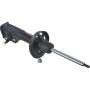 Autopart International Strut Assembly 2701424370