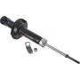 Autopart International Strut Assembly 2701424372
