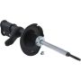 Autopart International Strut Assembly 2701424374
