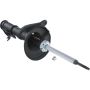 Autopart International Strut Assembly 2701424375