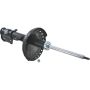Autopart International Strut Assembly 2701424376