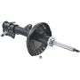 Autopart International Strut Assembly 2701424377