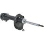 Autopart International Strut Assembly 2701424383