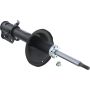 Autopart International Strut Assembly 2701424390