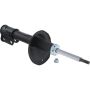 Autopart International Strut Assembly 2701424391