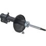 Autopart International Strut Assembly 2701424392