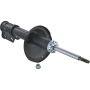 Autopart International Strut Assembly 2701424393