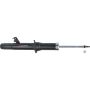 Autopart International Shock Absorber 2701424517