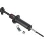Autopart International Strut Assembly 2701424664