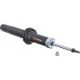 Autopart International Strut Assembly 2701424669