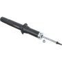 Autopart International Strut Assembly 2701424670