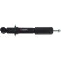 Autopart International Strut Assembly 2701424746