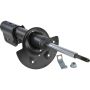 Autopart International Strut Assembly 2701424748