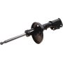 Autopart International Strut Assembly 2701424869