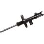 Autopart International Strut Assembly 2701424870